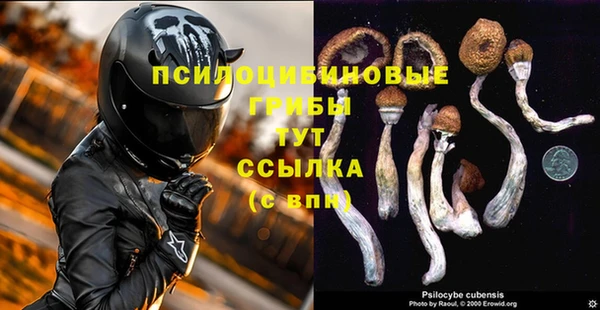 a pvp Армянск